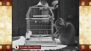 A Little Hero (1913) 🐱 Cat Movies 🎥🐈