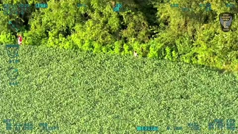 Video shows OSHP Aviation locating missing child safely in bean field