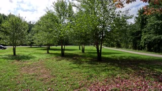 Episode 49 - Early Fall color is often not because of Fall.