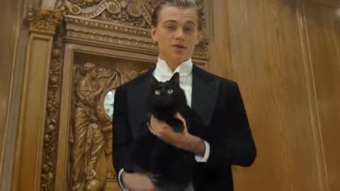 Titanic with cats