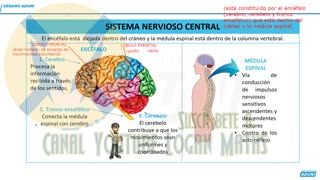 VERANO ADUNI 2023 | Semana 04 | Química P2 | Biología