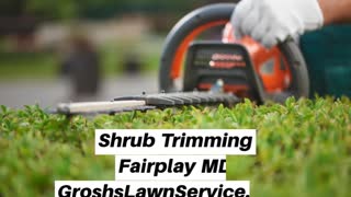 Shrub Trimming Fairplay MD Landscape Contractor
