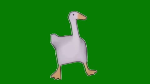 Pato Bailando 4K Pantalla verde - Duck Dance 4K Green Screen