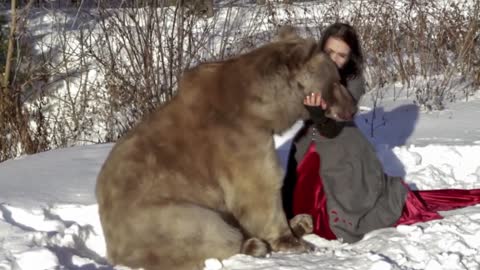 Russian Bear " A meeting" / Русский Медведь Степан "Встреча"