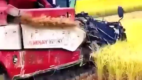 Amazing work and vegetable hard wasting