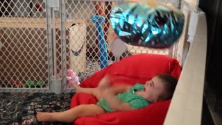 Adorable Baby Giggles At Balloon