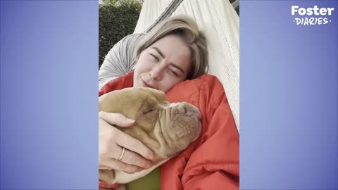 Woman Fosters A Pittie And Has No Idea How Much Her Life's About To Change The Dodo Foster Diaries