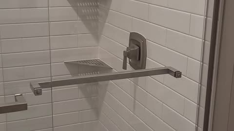 White subway tile custom shower with schluter shelves. Kohler door. Laticrete waterproofing