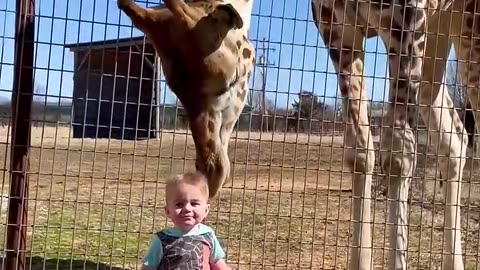 Cute baby With Giraffe