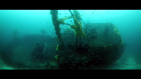 Unseen video of Underwater life (Beautiful world) 💖🥰🥰