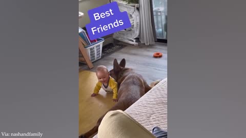 When Your Dog Is The Best Babysitter