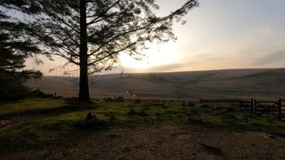 Where I wildcamped and hiked from. DARTMOOR. 2022