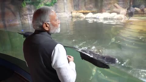Captivating Aquatic Gallery | PM Modi witnesses marine marvels at Gujarat Science City