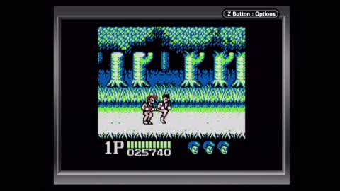 Double Dragon No-Death Playthrough (Game Boy Player Capture)