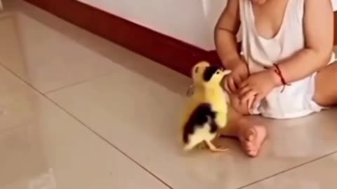 Funny baby play with duck