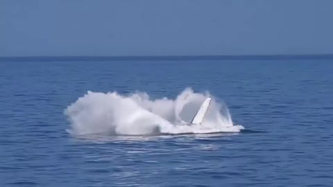 Amazing Whale Flip