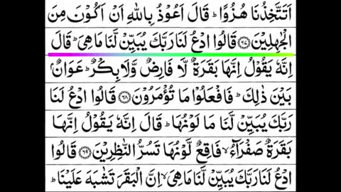 Quran 1 para «part 29» Para 1 Full | Sheikh Mishary Rashid Al-Afasy With Arabic Text (HD)