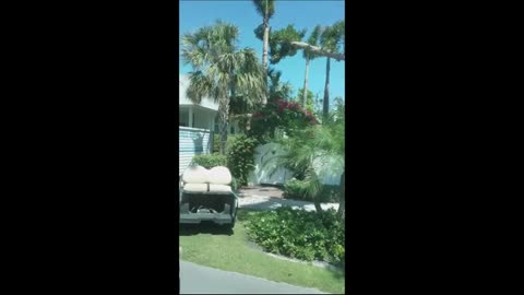 Boca Grande Florida Tour Part 5