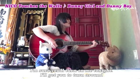 【18】NICO Touches the Walls ♪ Bunny Girl and Danny Boy/kuma-chan & TiBiMiNA 🇯🇵