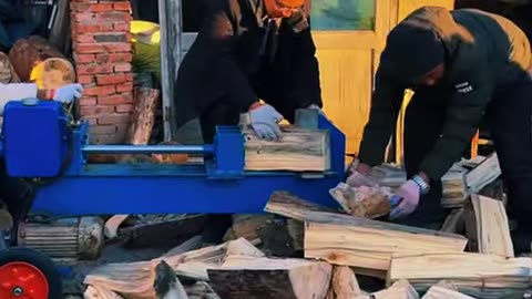 Chopping firewood firewood artifact 2044