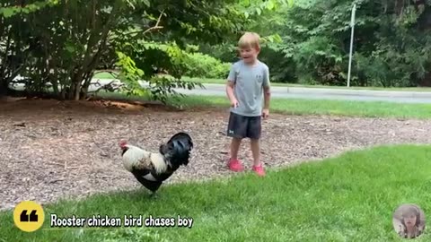 Baby and Animal - Funny Babies At The Farm __ Just Funniest