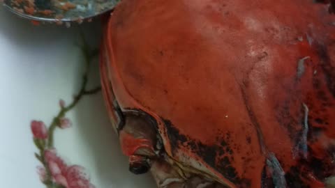 delicious steamed crab