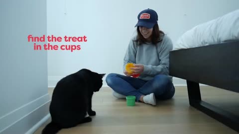 30 trick on cat teach