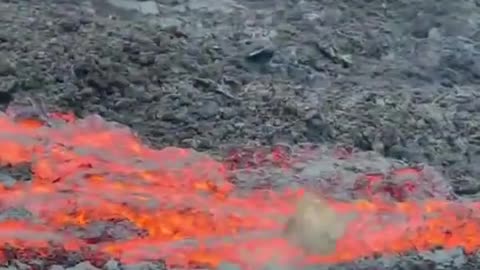 Stones fall into hot magma and become a "feast" for the latter