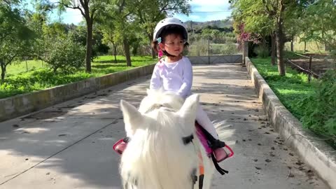 The cutest little toddler horse rider and her pony