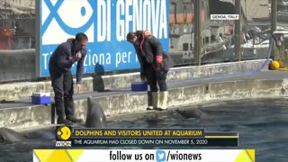 The Genoa Aquarium in Italy reopens after months | Marine Animals | Latest World News | English News