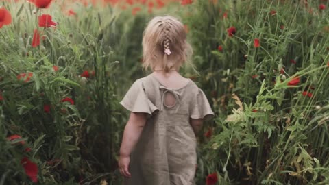 Kid walking between red poppy flowers