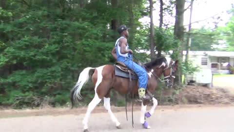 "BIG" Front Action Ryders Annual Walking Horse Trail Ride in Ogden, Arkansas-16