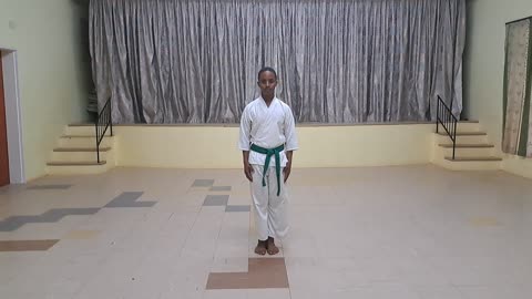 B47 - Asanda Molweni - Green - Pinan Shodan