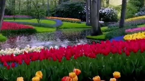 Keukenhof Park, Netherlands