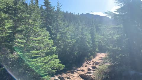 Oregon - Mount Hood - 'Alpine Wonderland Imminent' Radar