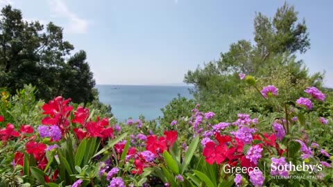 Mediterranean Blossom-Skiathos, Greece