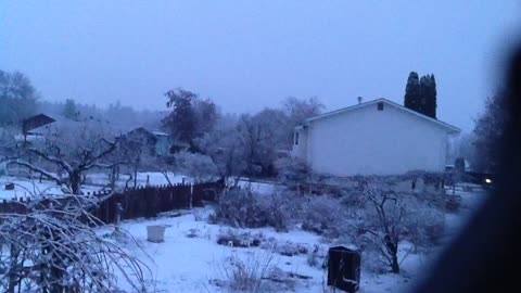 Snow Moved In To Kelowna From Vancouver