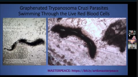 💉Living Graphene Parasites 666