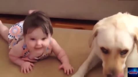 Best Babies and Animals Videos Funny Babies