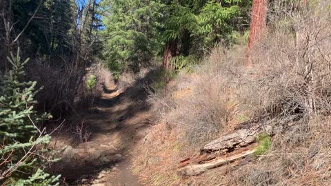 Tip: Don’t Assume Trail Conditions are Static – Metolius River – Central Oregon