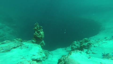freediving the Bahamas