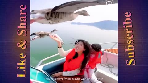 Geese flying with a boat.