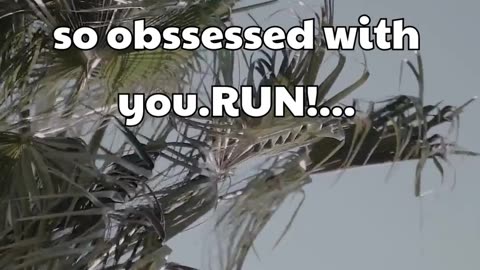 If your partner is so obsessed with you.. #shorts #psychologyfacts #subscribe