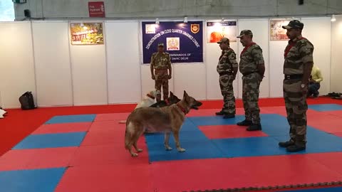 CISF demonstration of Dog Squad