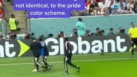 A protestor ran onto the pitch during the PortugalUruguay match at the World Cup