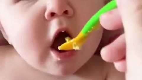 Funny Baby Videos eating 2023