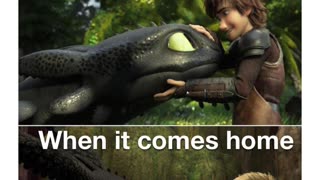 How To Train Your Dragon Memes