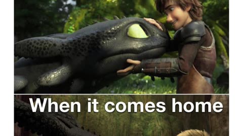 How To Train Your Dragon Memes