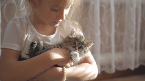 years little girl playing with the small gray kitten at home