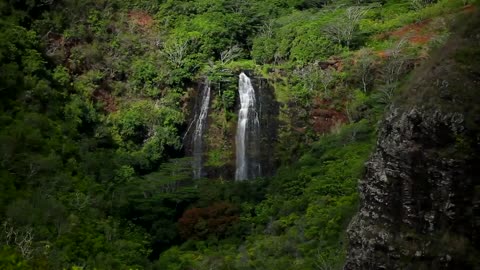 Nature Colours View